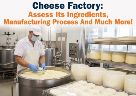 Cheese Factory
