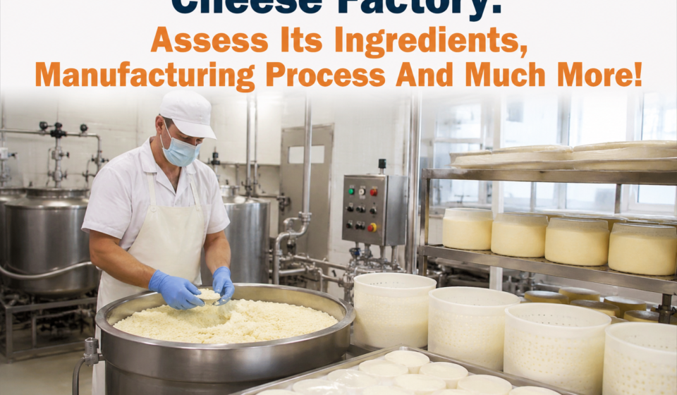 Cheese Factory