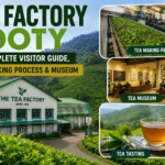 Tea Factory Ooty