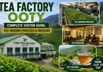 Tea Factory Ooty