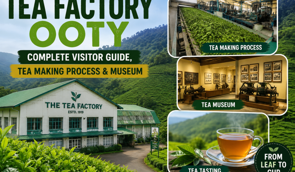Tea Factory Ooty