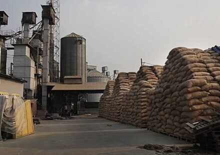 Rice Factory