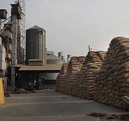 Rice Factory