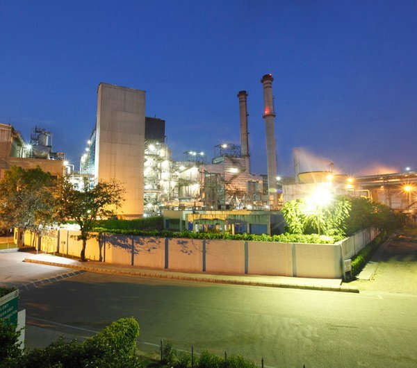 LH Sugar Factory!