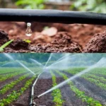 Top 10 Drip Irrigation Companies in India: Lead to Better Yields With Smart and Sustainable Solutions! Top 10 Drip Irrigation Companies in India