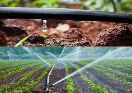 Top 10 Drip Irrigation Companies in India