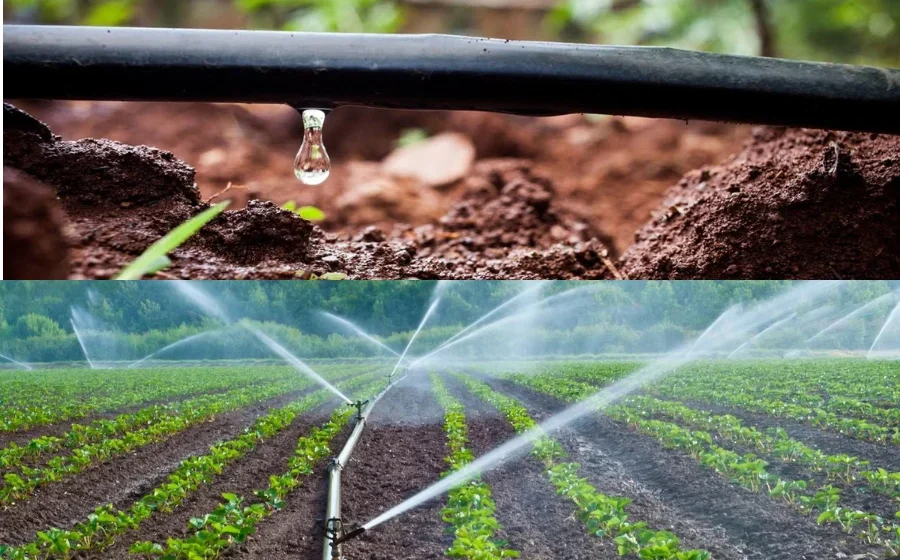 Top 10 Drip Irrigation Companies in India