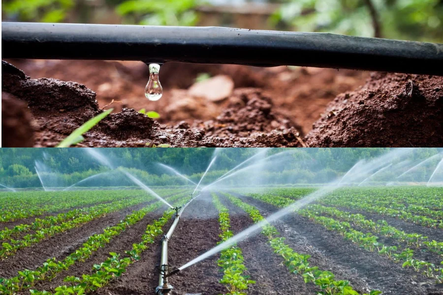 Top 10 Drip Irrigation Companies in India