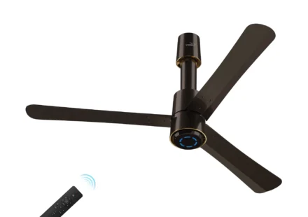 Top 10 fan companies in India 2026